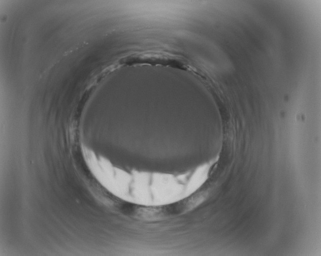 X0000082700139200702232240