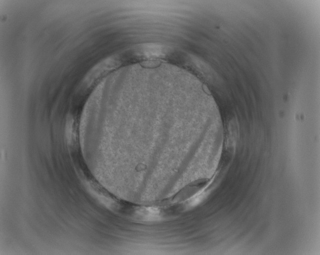 X0000082700140200702232240