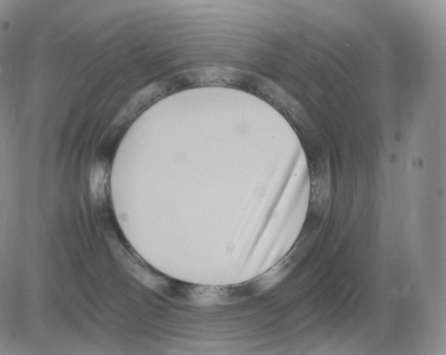 X0000082700142200702232240