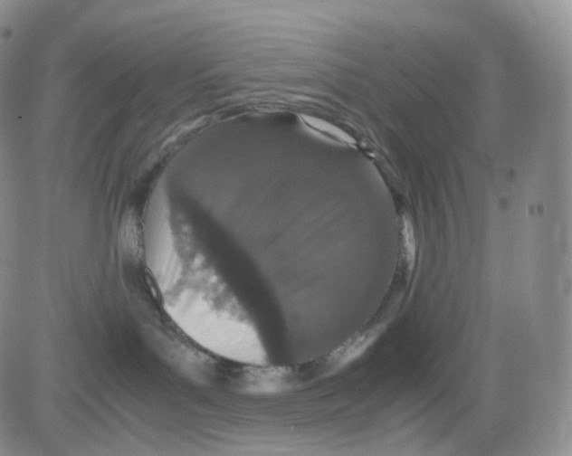 X0000082700143200702232240