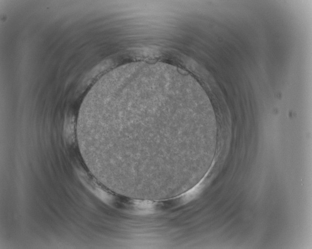 X0000082700144200702232240