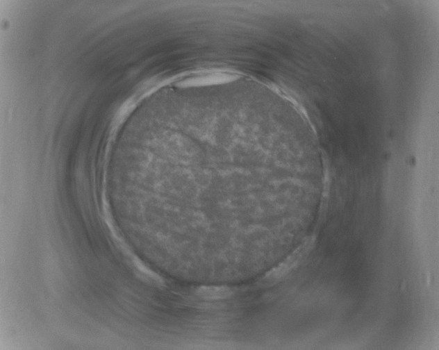 X0000082700145200702232239