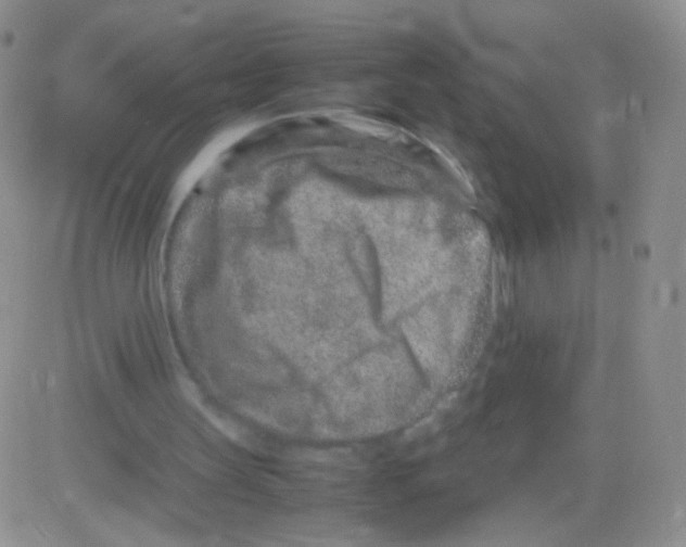 X0000082700147200702232239