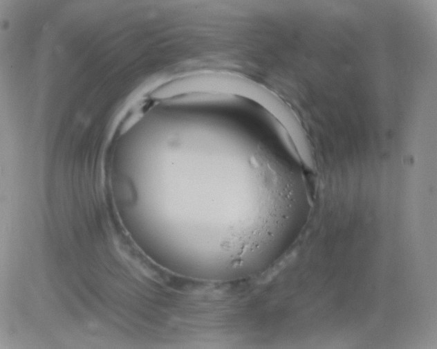 X0000082700148200702232239