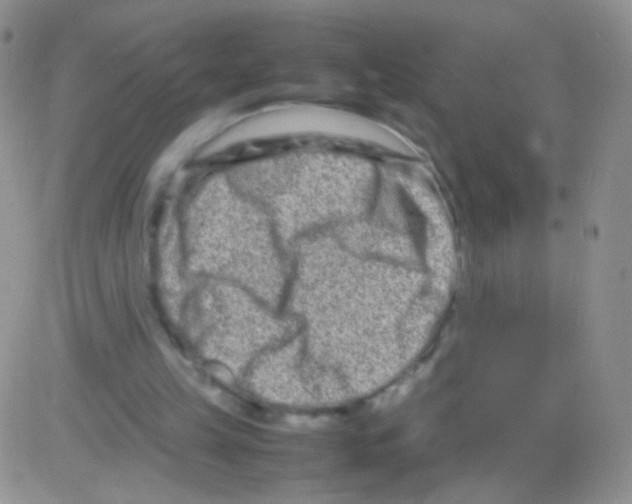 X0000082700149200702232239