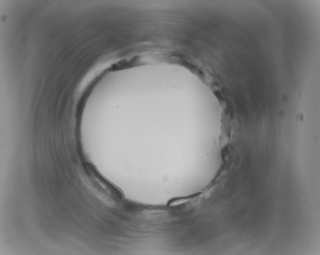 X0000082700150200702232239