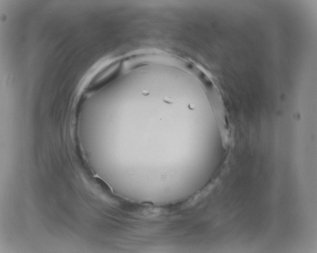 X0000082700152200702232239