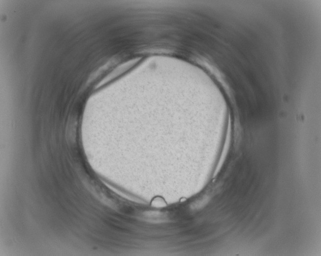 X0000082700153200702232239