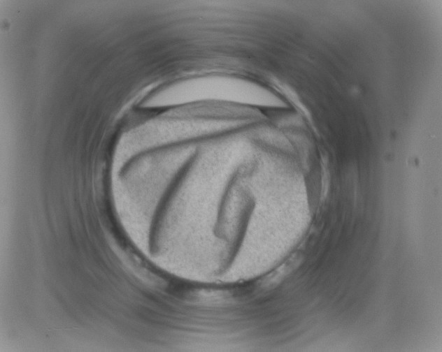 X0000082700154200702232239