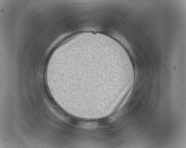 X0000082700155200702232239