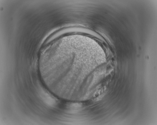 X0000082700156200702232239