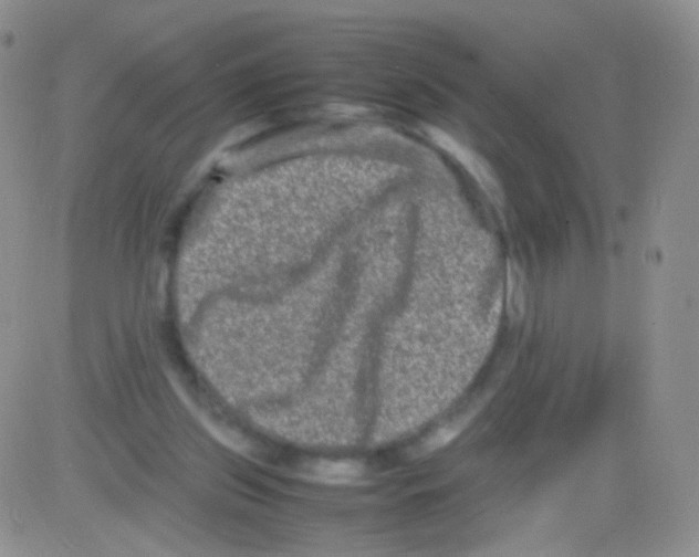 X0000082700157200702232239