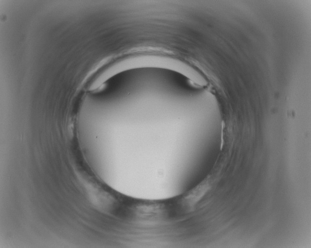 X0000082700160200702232239