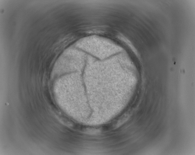 X0000082700161200702232239