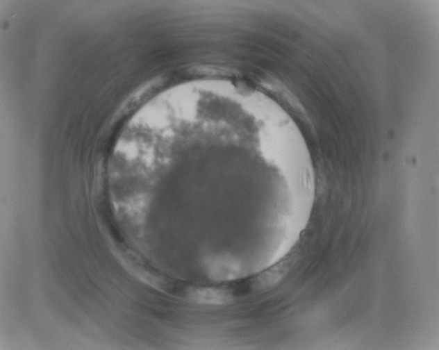 X0000082700163200702232239