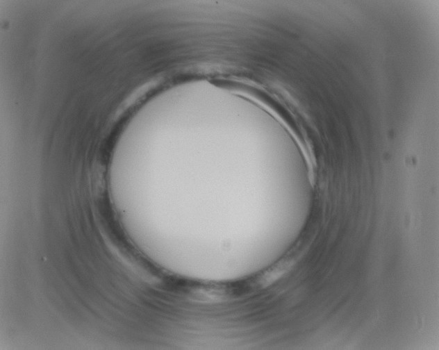 X0000082700164200702232239