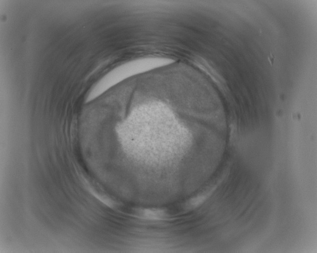 X0000082700165200702232239