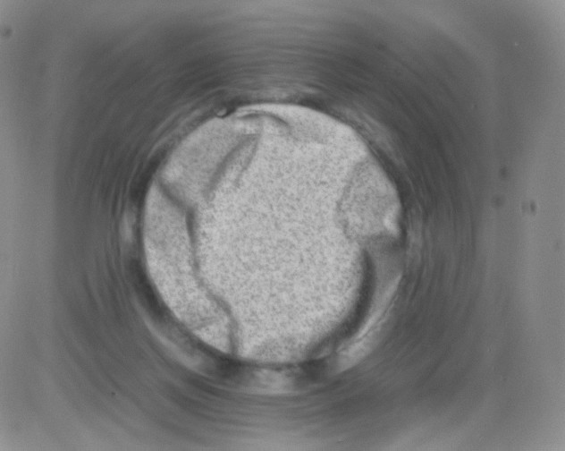 X0000082700166200702232239