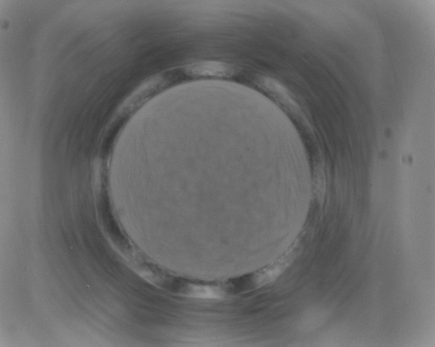 X0000082700167200702232239