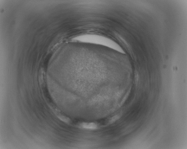 X0000082700169200702232239