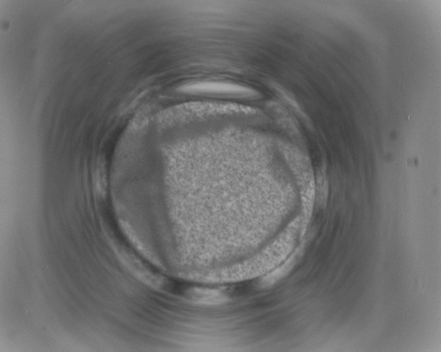 X0000082700170200702232239