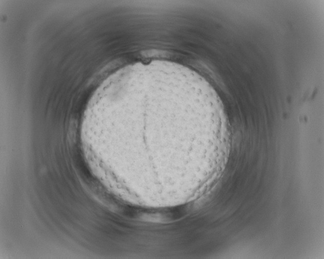 X0000082700171200702232239