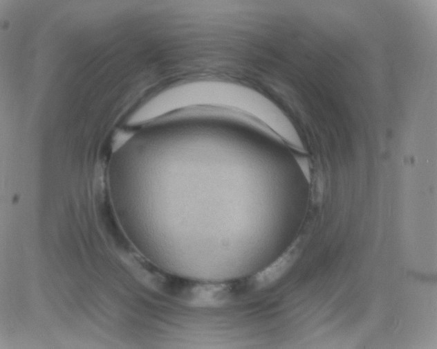 X0000082700172200702232239