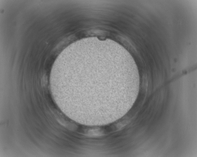 X0000082700173200702232239