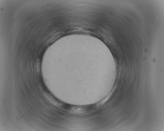 X0000082700174200702232239