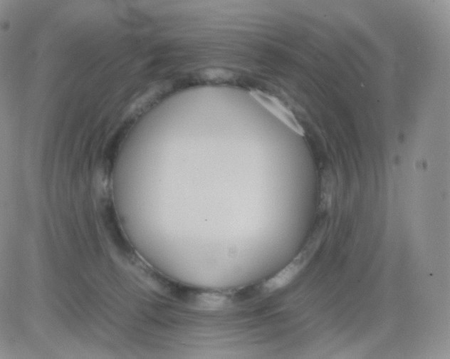 X0000082700176200702232239