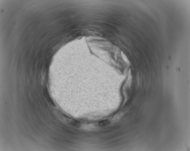 X0000082700177200702232239