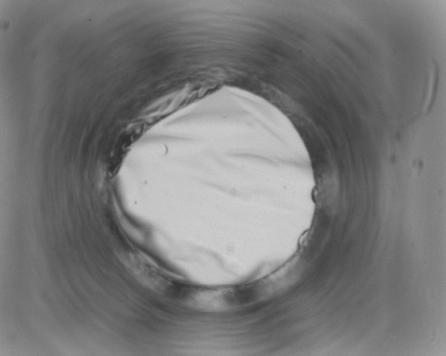 X0000082700178200702232239