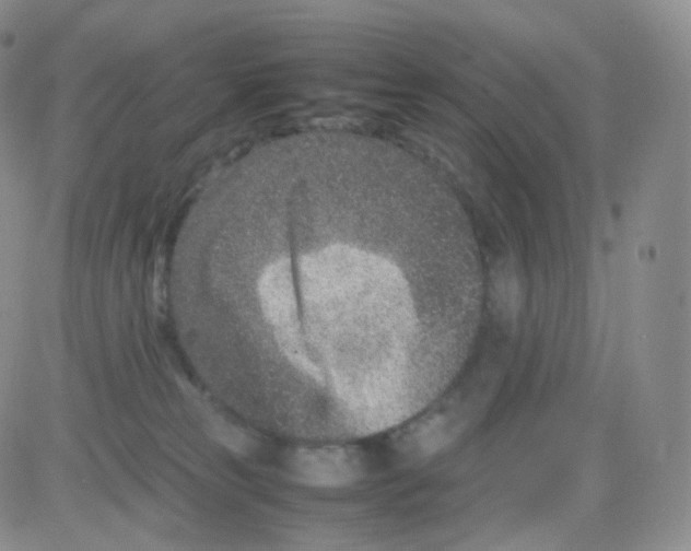 X0000082700181200702232239