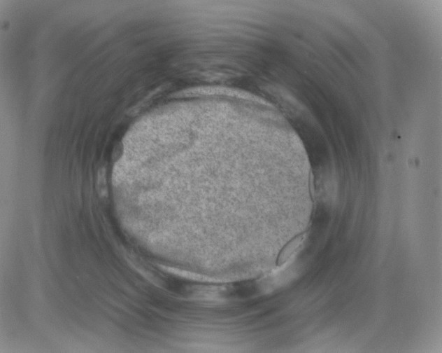 X0000082700182200702232239