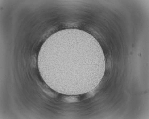 X0000082700183200702232240