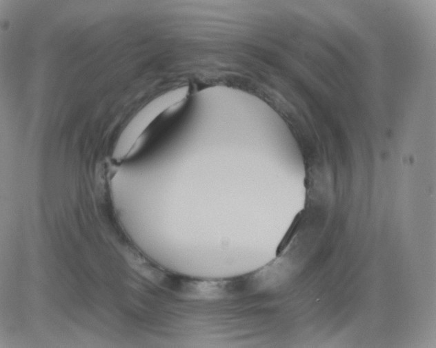 X0000082700184200702232240