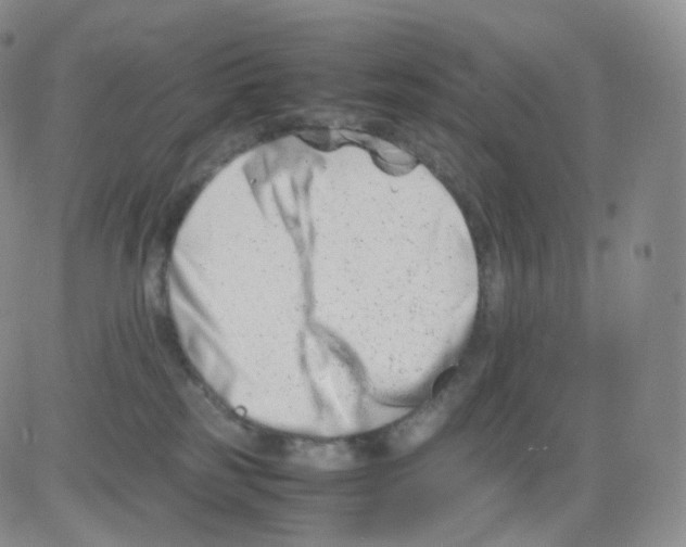 X0000082700185200702232240