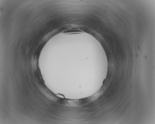 X0000082700188200702232240