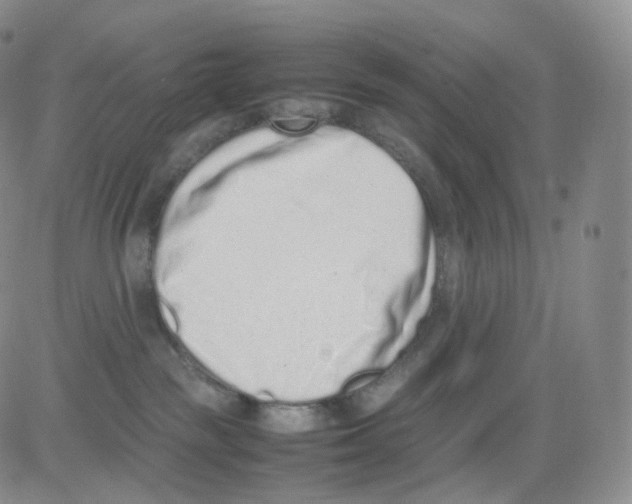 X0000082700189200702232240