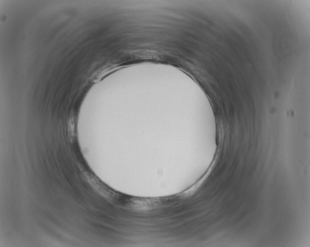 X0000082700190200702232240