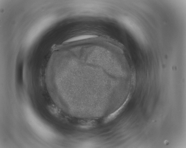 X0000082700191200702232240