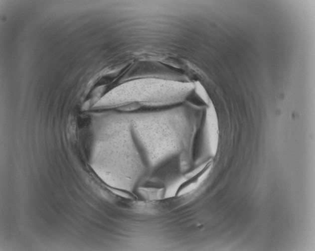 X0000082700192200702232240