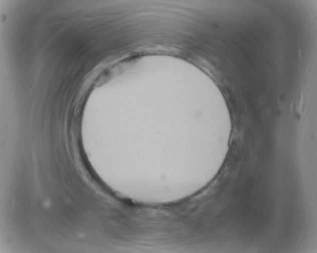 X0000082700193200702232239