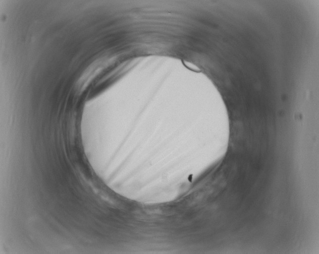 X0000082700194200702232239