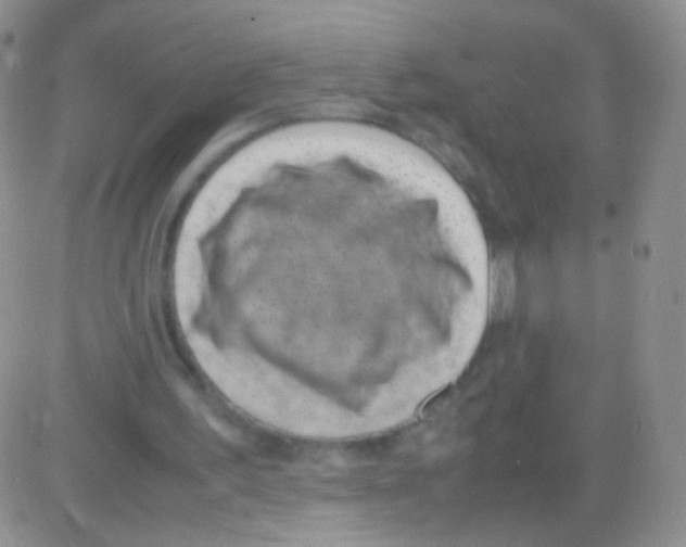 X0000082700195200702232239