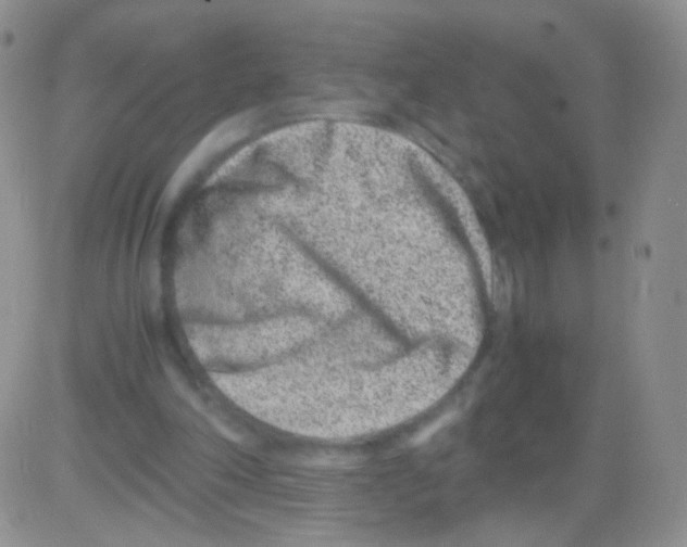 X0000082700198200702232239