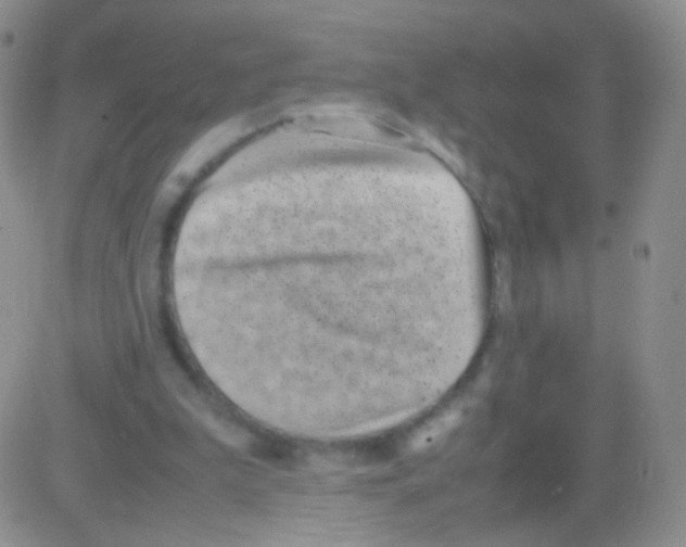 X0000082700199200702232239