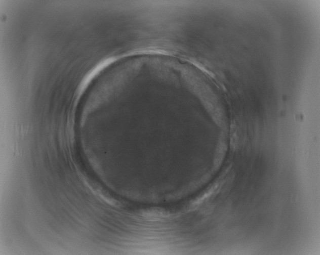 X0000082700200200702232239