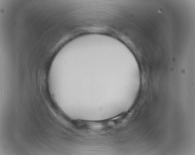 X0000082700201200702232239