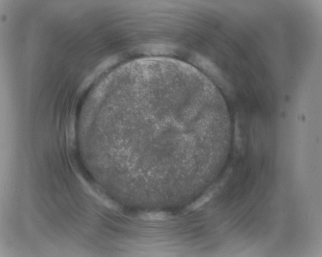 X0000082700202200702232239